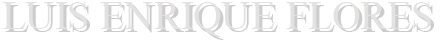 Luis Enrique Flores Attorney At Law, PLLC